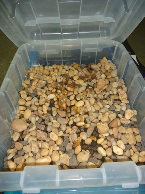 Unidade Escolar Dom Joaquim Rufino do Rêgo realizou a IV Feira de Ciências - Imagem 202