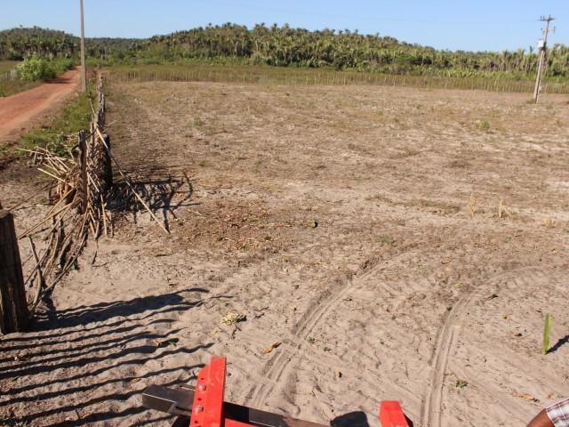 Prefeita Dra. Salete Rêgo garante estrutura agrícola para moradores da Região da Santa Cruz - Imagem 2