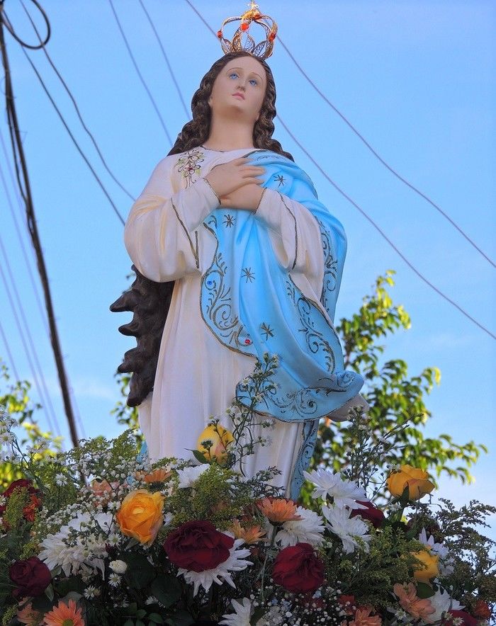 Multidão prestigia procissão de abertura dos festejos de N. S. da Conceição  - Imagem 1