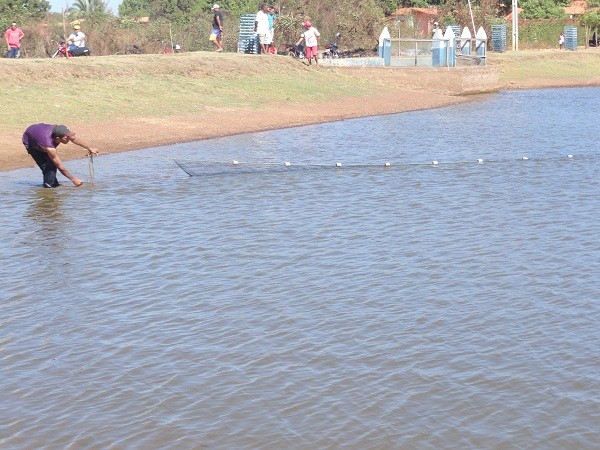 Equipe faz teste para o 1° Festival do Peixe - Imagem 2
