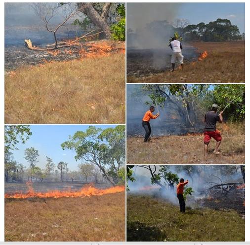 Dois grupos merecem destaque em Barras - Imagem 8