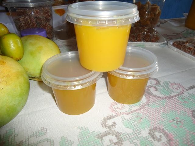 Grupo de Mulheres dos Cocos Recebe Oficina de Doces e Polpas - Imagem 7