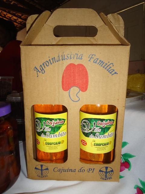 Grupo de Mulheres dos Cocos Recebe Oficina de Doces e Polpas - Imagem 11