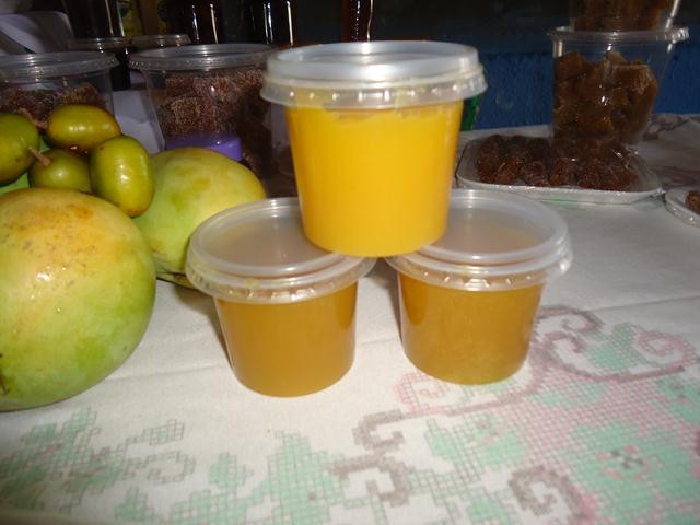 Grupo de Mulheres dos Cocos Recebe Oficina de Doces e Polpas - Imagem 10