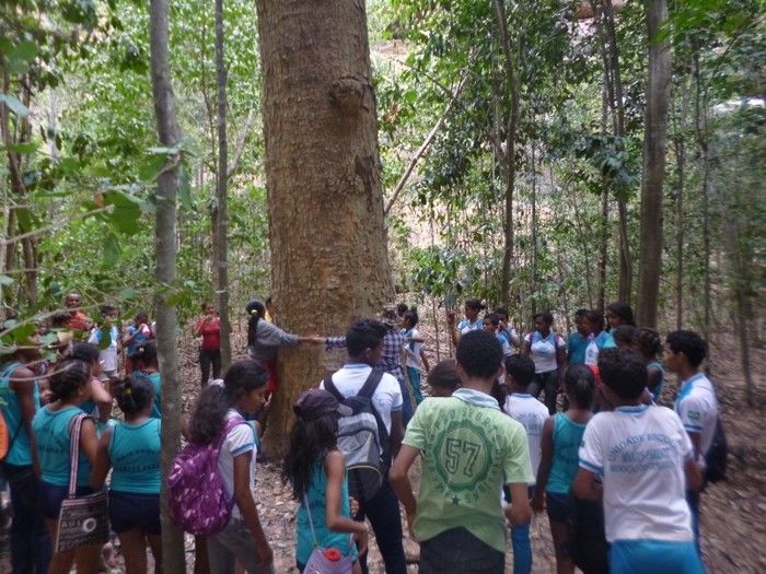 Alunos e professores da rede estadual visitam pinturas rupestres encontradas nos boqueirões no município de Redenção do Gurguéia - PI - Imagem 1