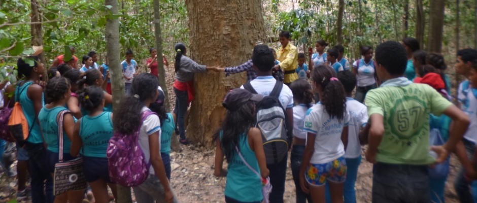 Alunos e professores da rede estadual visitam pinturas rupestres encontradas nos boqueirões no município de Redenção do Gurguéia - PI