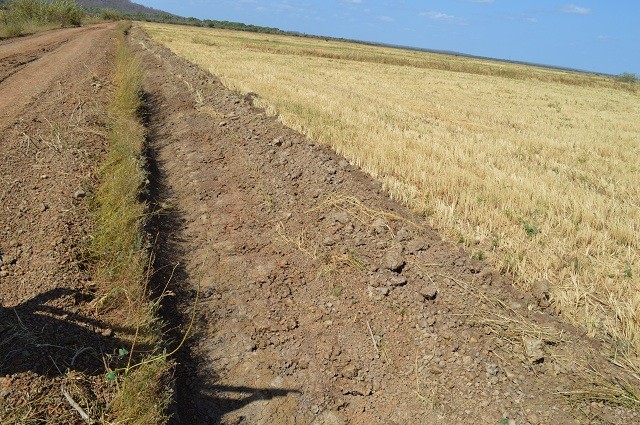 Prefeitura realiza serviços de preparo da terra aos plantadores de arroz - Imagem 4