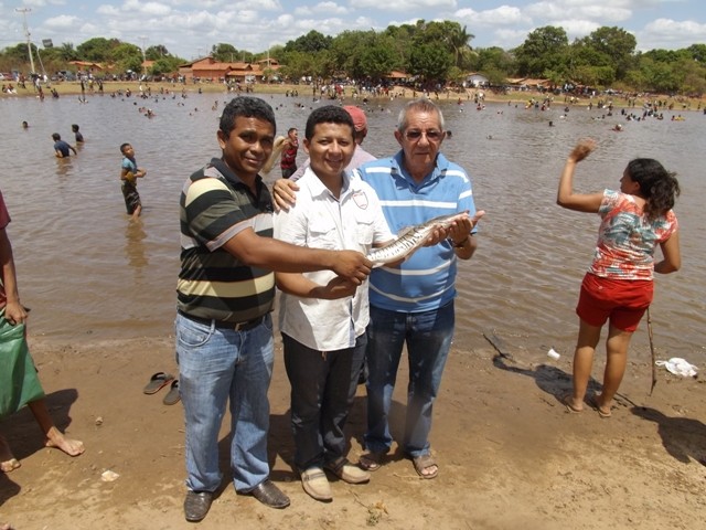 1° Festival do Peixe em Porto - Imagem 33