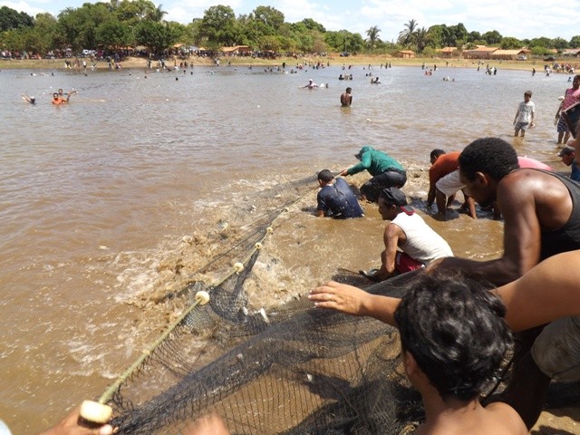 1° Festival do Peixe em Porto - Imagem 26