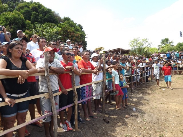 1° Festival do Peixe em Porto - Imagem 24