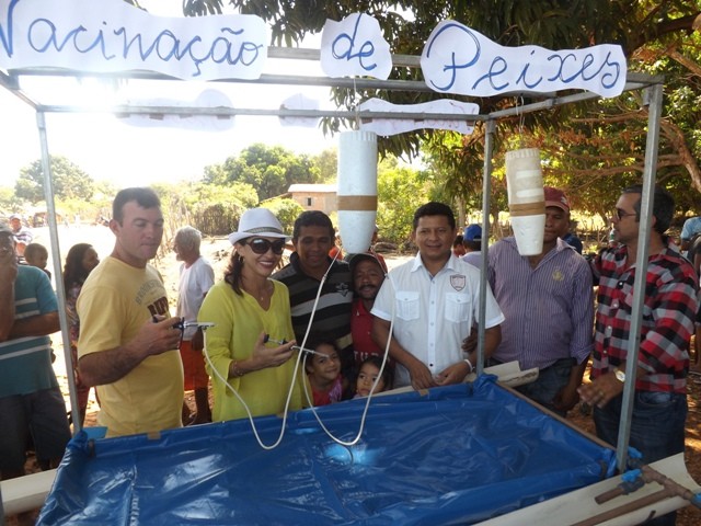 1° Festival do Peixe em Porto - Imagem 11