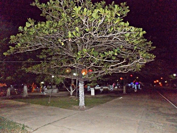 Prefeitura de Prata do Piauí finaliza a 1ª Decoração Natalina da cidade - Imagem 1