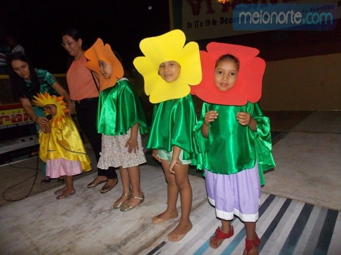 Primeira noite do VI Festival Cultural 2014  - Imagem 40