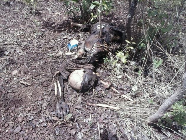 Corpo em avançado estado de putrefação é encontrado na zona rural de Corrente - Imagem 2