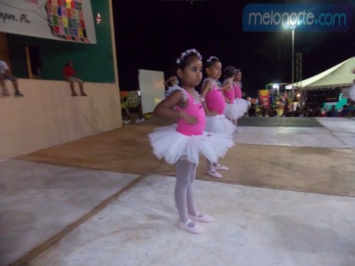 Primeira noite do VI Festival Cultural 2014  - Imagem 24