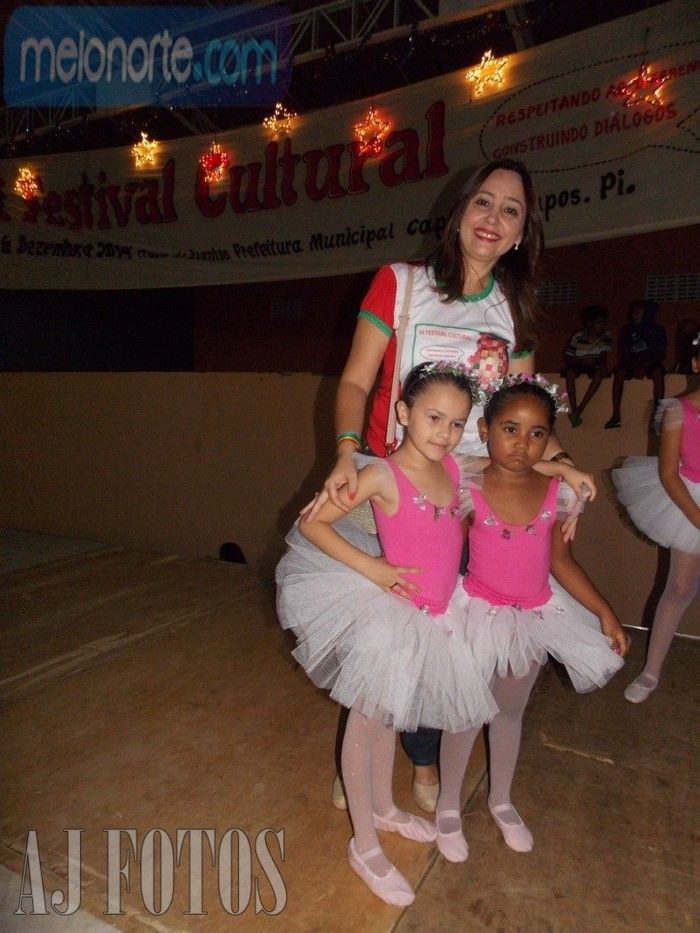 Primeira noite do VI Festival Cultural 2014  - Imagem 30