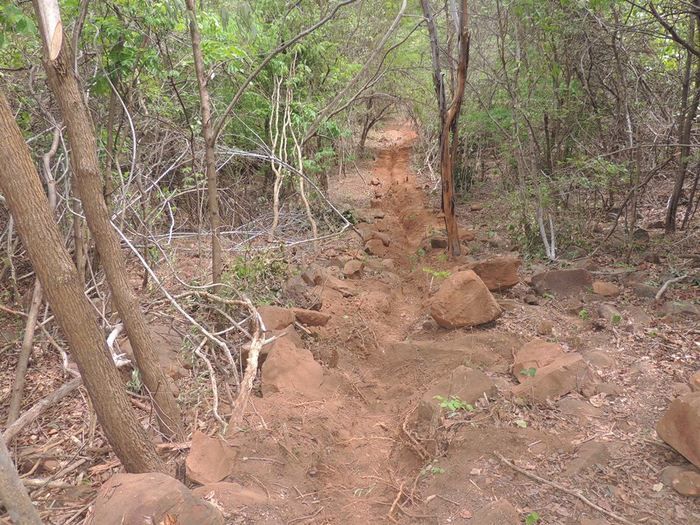 Vereadores Chico Zaca e Antônio Uchoa visitam obras em comunidades rurais - Imagem 5