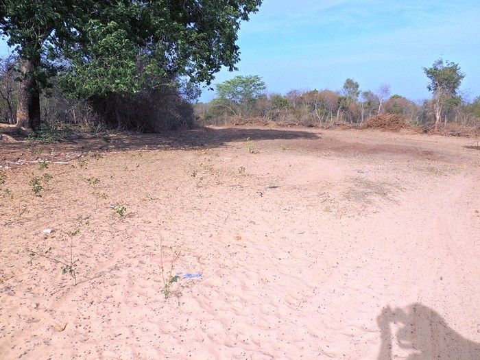 Comunidade Roça dos Pereira ganhará Unidade Básica de Saúde - Imagem 4