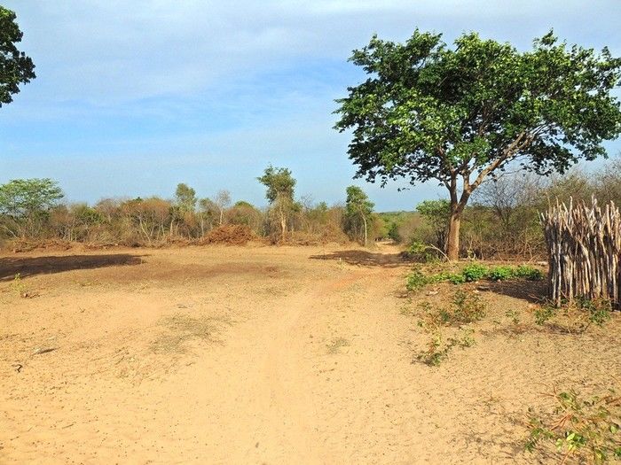 Comunidade Roça dos Pereira ganhará Unidade Básica de Saúde - Imagem 3