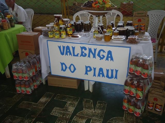 Ipiranga sediou a I Feira Territorial da Agricultura Familiar do Vale do Sambito - Imagem 76