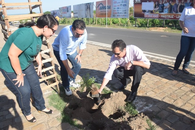 Secretaria de Meio Ambiente inicia projeto de arborização da cidade - Imagem 2