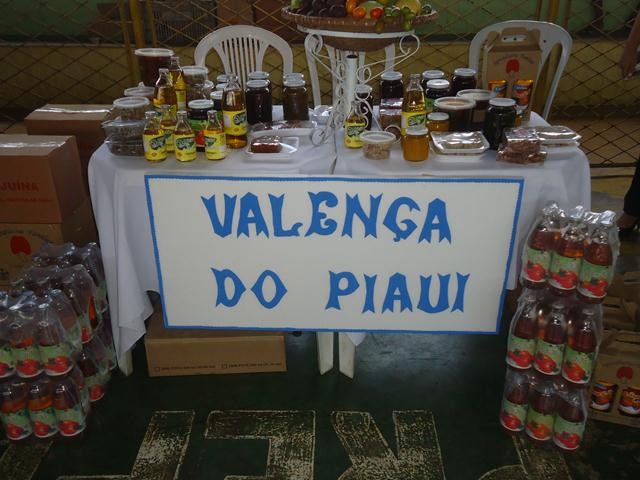 Ipiranga sediou a I Feira Territorial da Agricultura Familiar do Vale do Sambito - Imagem 75