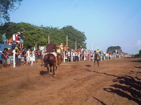 Não Haverá Corrida de Cavalo no dia 08 de Dezembro em Agricolândia - Imagem 2