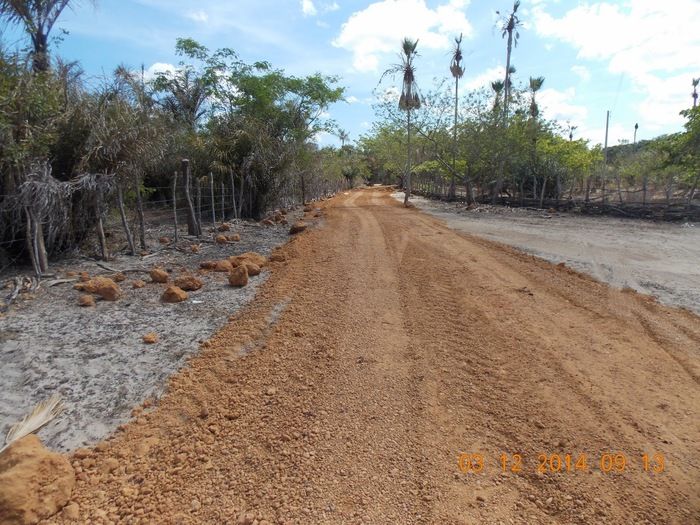 PREFEITO APOLINÁRIO COSTA VISTORIA CONSTRUÇÃO DE MAIS UMA ESTRADA VICINAL NA ZONA RURAL DE BOM PRINCIPIO DO PIAUÍ - Imagem 3