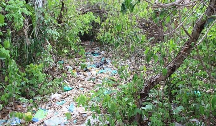 Secretaria de Saúde realiza mutirão de combate à dengue em São João do Arraial - Imagem 5