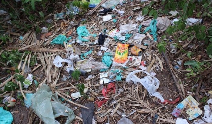 Secretaria de Saúde realiza mutirão de combate à dengue em São João do Arraial - Imagem 6