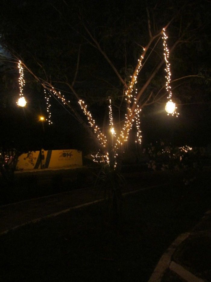 Prefeito Deixa a Cidade em Clima de NATAL - Imagem 4