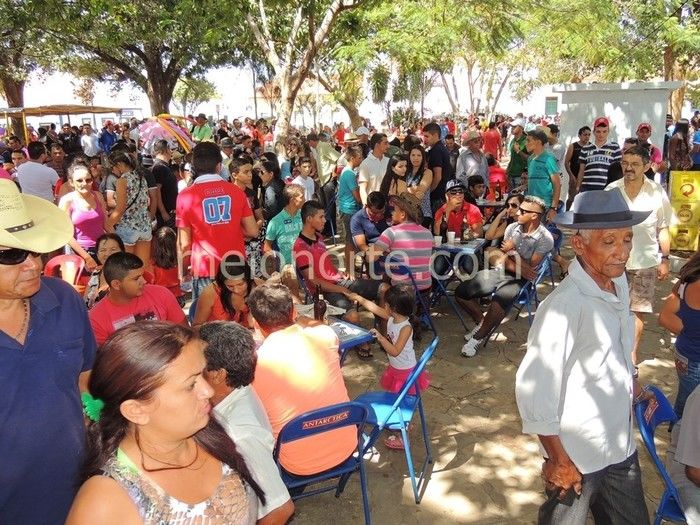 Vaqueiros invadem ruas e avenidas de Pedro II  - Imagem 48