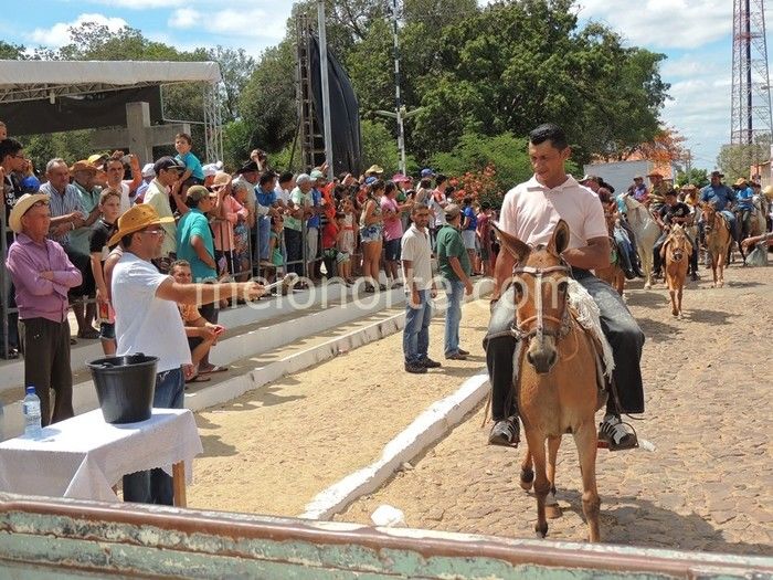 Vaqueiros invadem ruas e avenidas de Pedro II  - Imagem 29