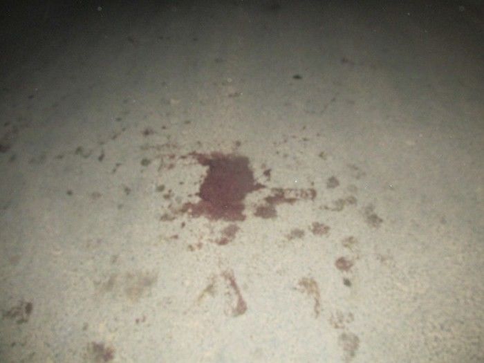 Acidente de Moto no Bairro Baixa deixa uma Pessoa Gravemente Ferida   - Imagem 2