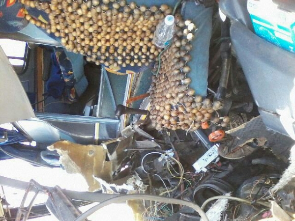 Grave acidente envolvendo dois ônibus na BR-020 - Imagem 9