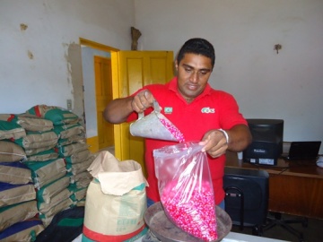 Começa a distribuição de sementes para agricultores de Miguel Leão