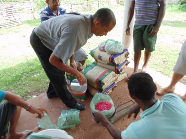  Prefeitura distribui sementes selecionadas para agricultores - Imagem 2