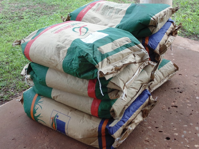  Prefeitura distribui sementes selecionadas para agricultores