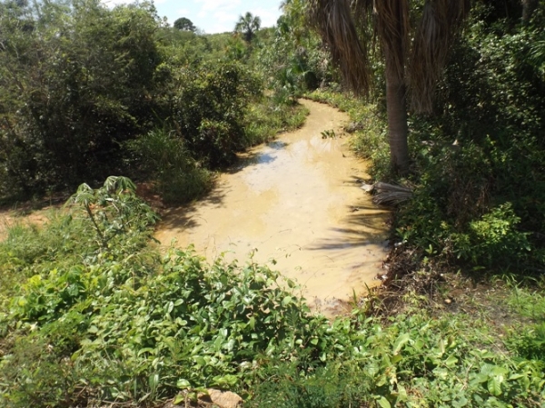 Caminhão com resíduos de óleo de soja tomba na BR 135 causando preocupação à moradores e órgãos ambientais  - Imagem 6