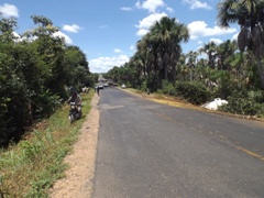 Caminhão com resíduos de óleo de soja tomba na BR 135 causando preocupação à moradores e órgãos ambientais 