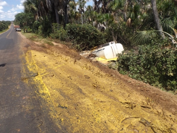 Caminhão com resíduos de óleo de soja tomba na BR 135 causando preocupação à moradores e órgãos ambientais  - Imagem 2