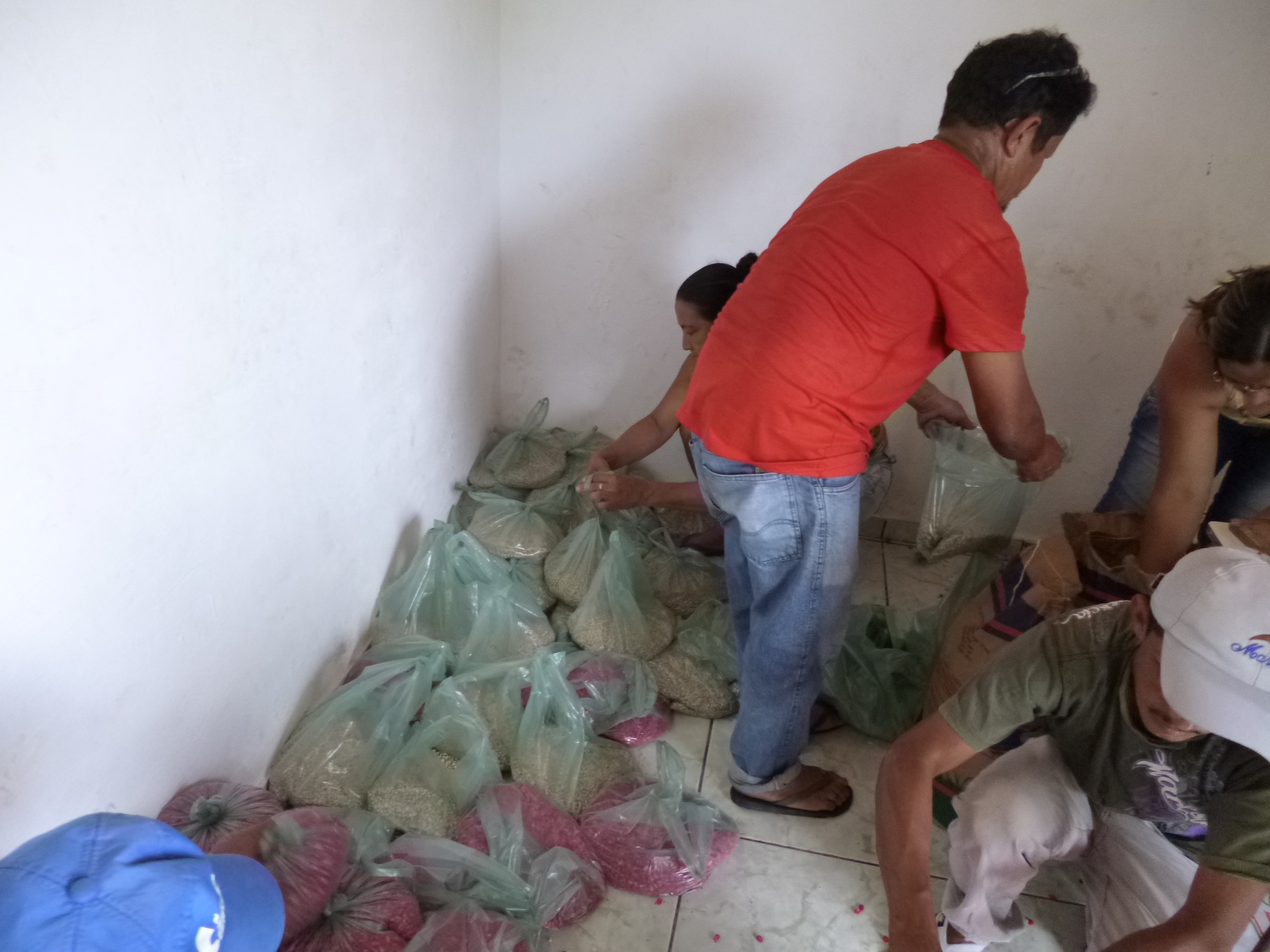 Agricultores recebem sementes em Lagoa Alegre