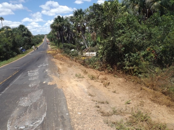 Caminhão com resíduos de óleo de soja tomba na BR 135 causando preocupação à moradores e órgãos ambientais  - Imagem 1