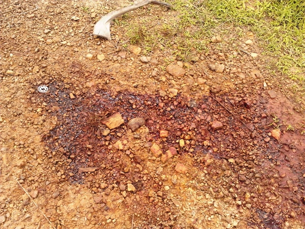 Jovem morre em grave acidente de moto em Caxingó - Imagem 3