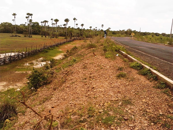 Jovem morre em grave acidente de moto em Caxingó - Imagem 2