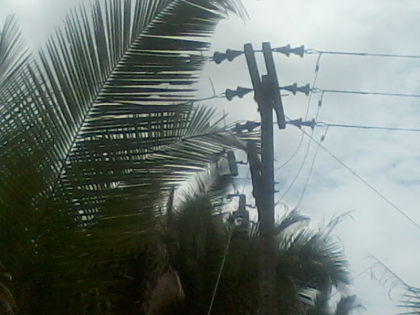 Presidente da Assocaiação de moradores da Lagoa do Canto e adjacentes afirma que as comunidades irão organizar protesto contra a Eletrobras - Imagem 7