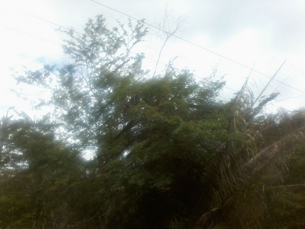 Presidente da Assocaiação de moradores da Lagoa do Canto e adjacentes afirma que as comunidades irão organizar protesto contra a Eletrobras - Imagem 9