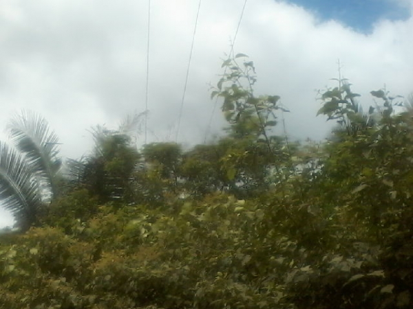 Presidente da Assocaiação de moradores da Lagoa do Canto e adjacentes afirma que as comunidades irão organizar protesto contra a Eletrobras - Imagem 5