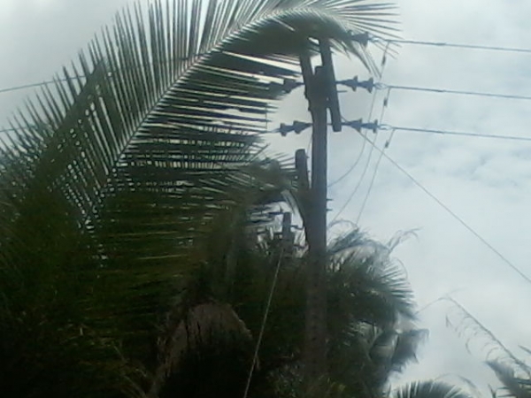 Presidente da Assocaiação de moradores da Lagoa do Canto e adjacentes afirma que as comunidades irão organizar protesto contra a Eletrobras - Imagem 6