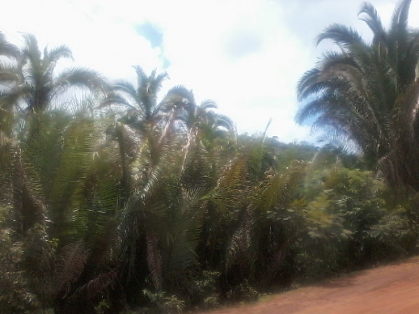 Presidente da Assocaiação de moradores da Lagoa do Canto e adjacentes afirma que as comunidades irão organizar protesto contra a Eletrobras - Imagem 10